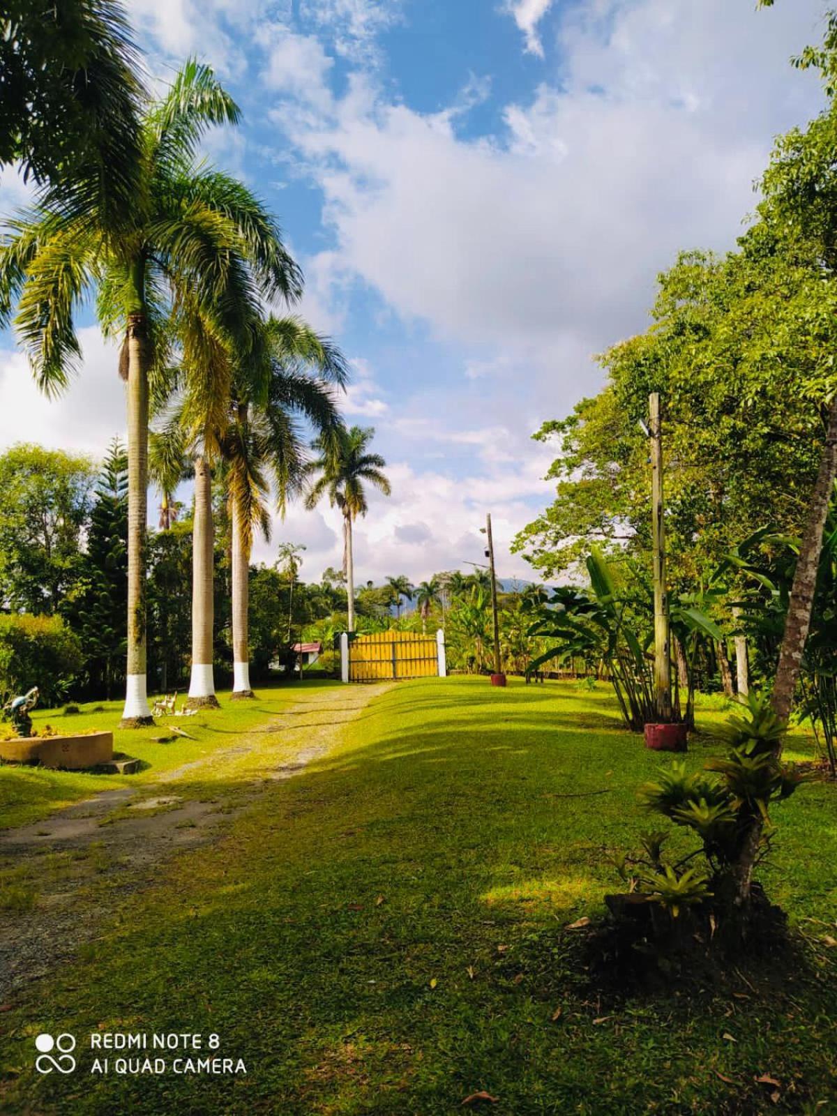 Finca Hotel el Edén del Quindío Calarcá Exterior foto